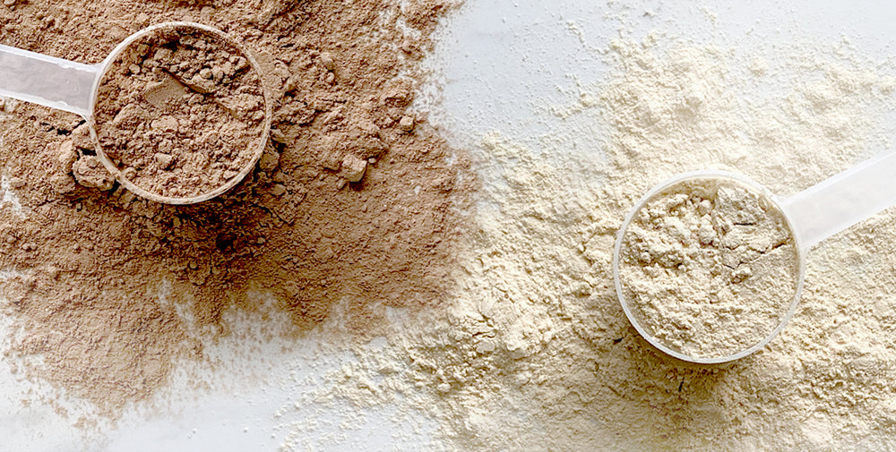 Plant-Based Protein Vs. Whey Protein: Which One Is Best For You?