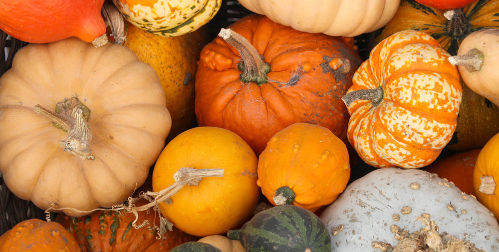 Fall Is One Big Pumpkin Party: Here’s How To Get Your Fix