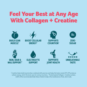 Collagen + Creatine